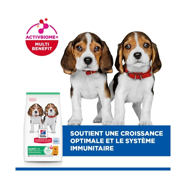 Hill's Science Plan - Puppy - Medium - Poulet