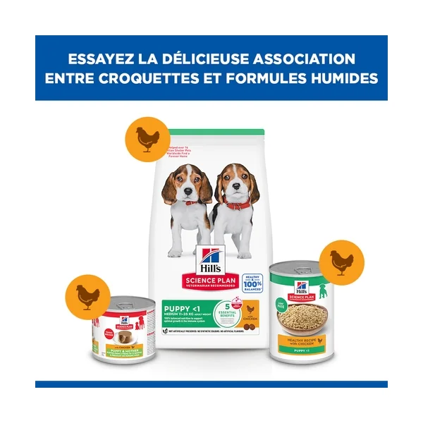 Hill's Science Plan - Puppy - Medium - Poulet