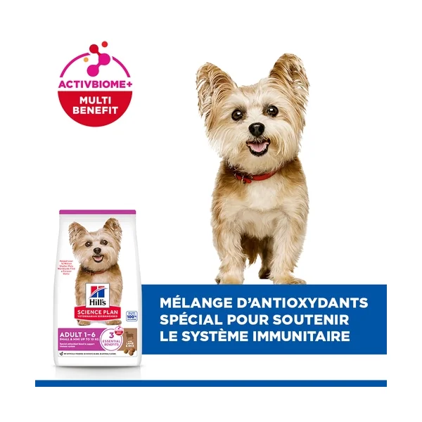 Hill's Science Plan Small & Mini - Adult - Agneau et Riz
