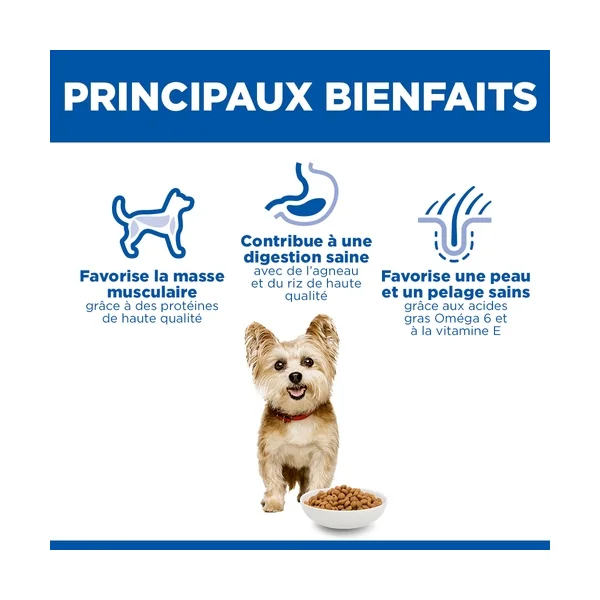 Hill's Science Plan Small & Mini - Adult - Agneau et Riz