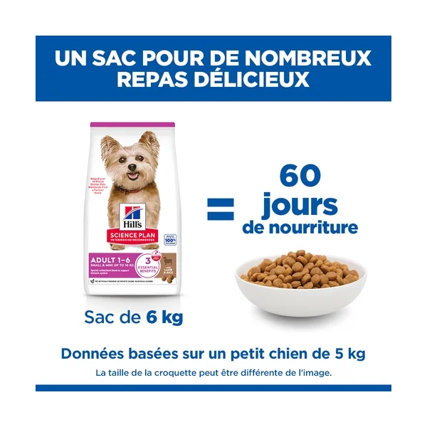 Hill's Science Plan Small & Mini - Adult - Agneau et Riz