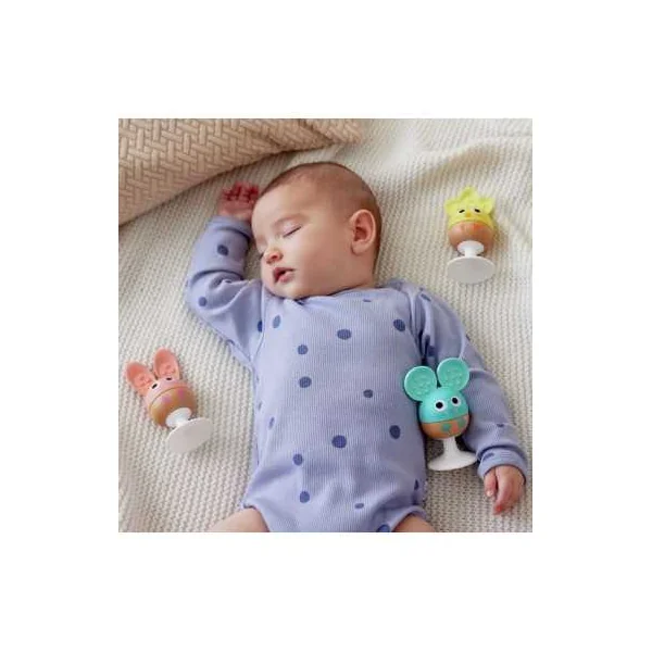 Hochets à ventouse Animaux - Hape