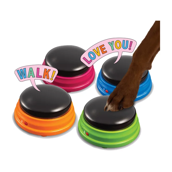 Hunger for Words Talking Pet Starter Set
