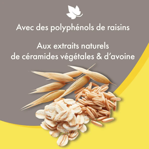 Hygiène Chien – Beaphar shampooing premium démêlant 2 en 1 – 750 ml