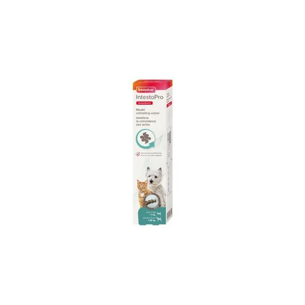 INTESTOPRO CHAT ET PETIT CHIEN