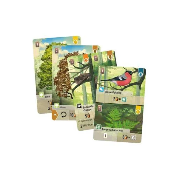 Jeu Forêt Mixte
