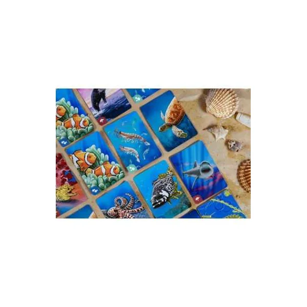 Jeu Écosystème Océan