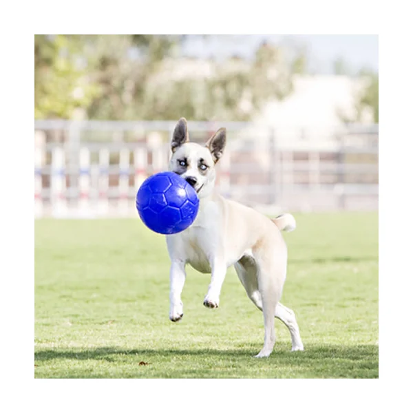 Jolly Soccer Ball Balle pour Chien
