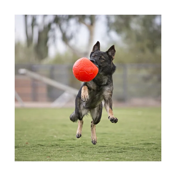Jolly Soccer Ball Balle pour Chien