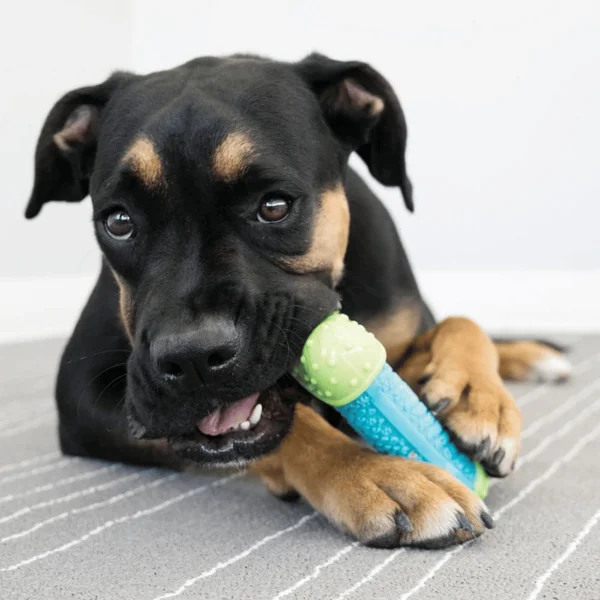 Jouet Chien - KONG® Corestrength Bone - 14 x 6 x 3,5 cm