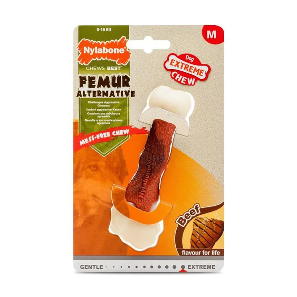 Jouet Chien - Nylabone Femur M