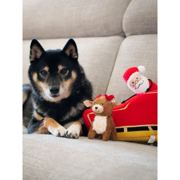 Jouet d'occupation pour chien - Traineau du Père Noël - ZippyPaws