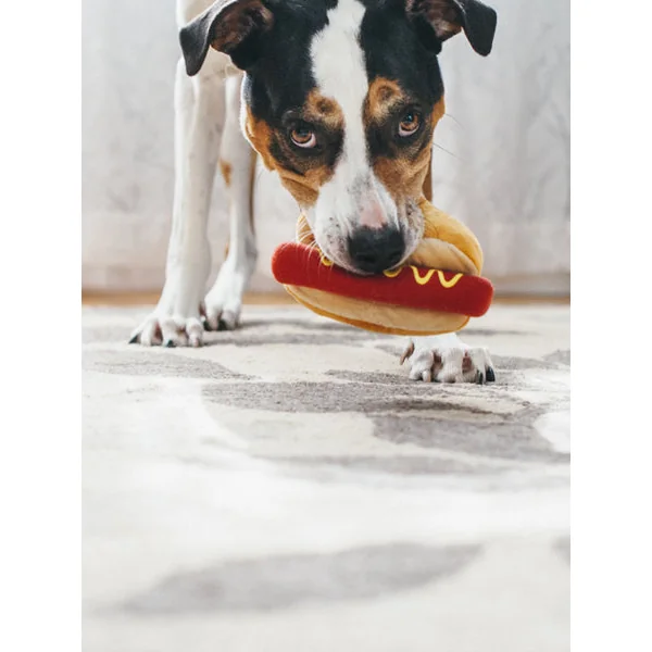 Jouet en peluche pour chien - American Classic - Hot dog