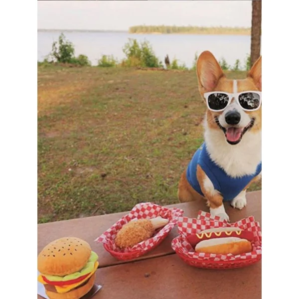 Jouet en peluche pour chien - American Classic - Hot dog