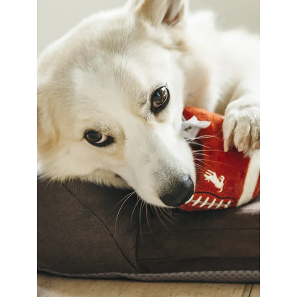 Jouet en peluche pour chien - Ballon de Football américain - Pet PLAY