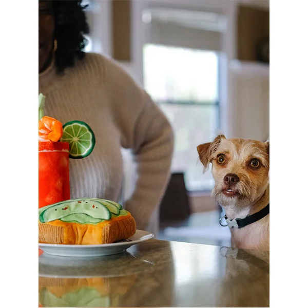 Jouet en peluche pour chien - Barking Brunch - Avocado Toast 🥑 - Pet PLAY