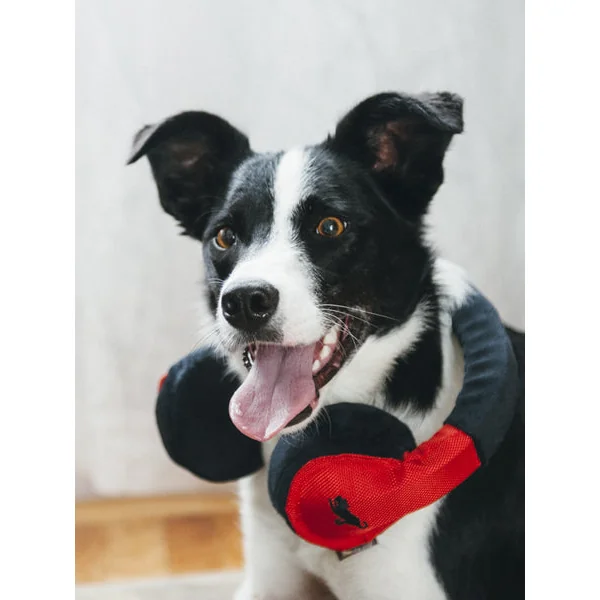 Jouet en peluche pour chien - Globetrotter - Casque audio - Pet PLAY