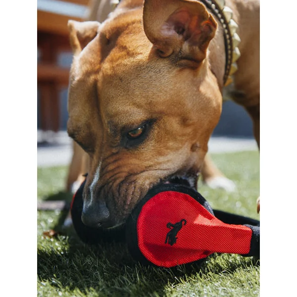 Jouet en peluche pour chien - Globetrotter - Casque audio - Pet PLAY