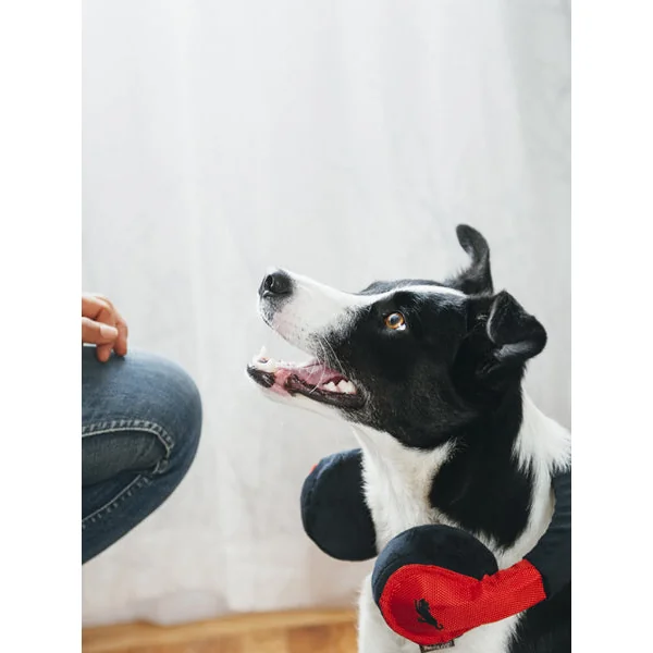 Jouet en peluche pour chien - Globetrotter - Casque audio - Pet PLAY