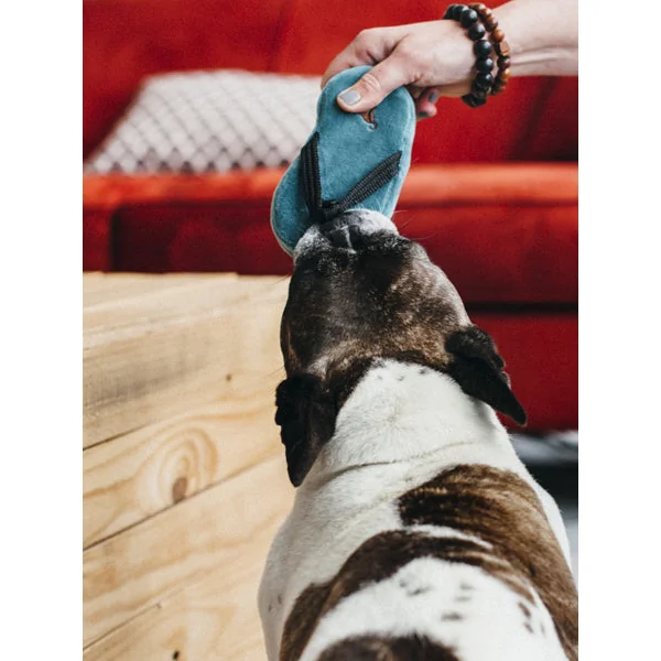 Jouet en peluche pour chien - Globetrotter - Tongue - Pet PLAY