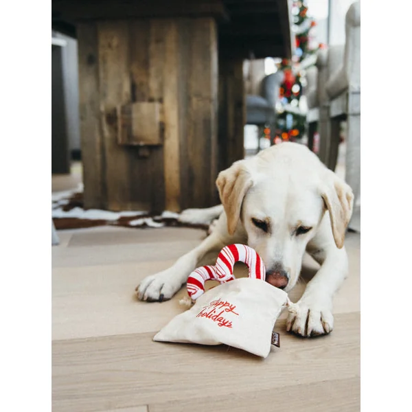 Jouet en peluche pour chien - Holiday Classic - 3 Sucres d'Orge - Pet PLAY