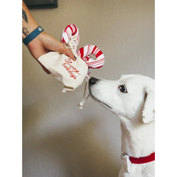 Jouet en peluche pour chien - Holiday Classic - 3 Sucres d'Orge - Pet PLAY