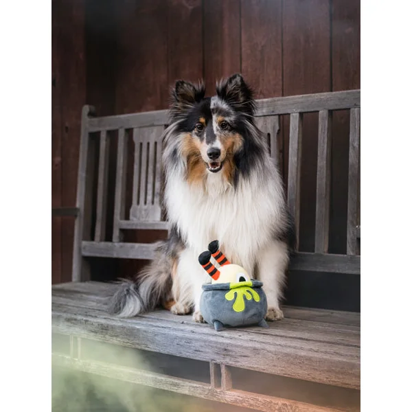 Jouet en peluche pour chien - Howling Haunts - Potion d'Halloween - Pet PLAY
