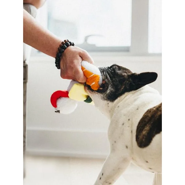 Jouet en peluche pour chien - International Classic - Sushi - Pet PLAY