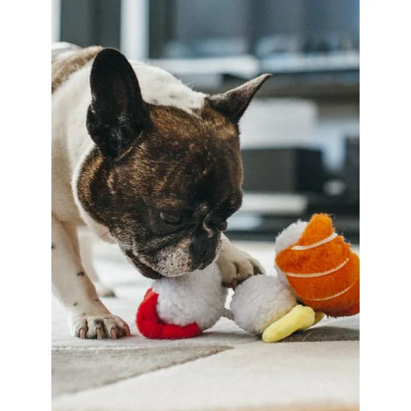 Jouet en peluche pour chien - International Classic - Sushi - Pet PLAY