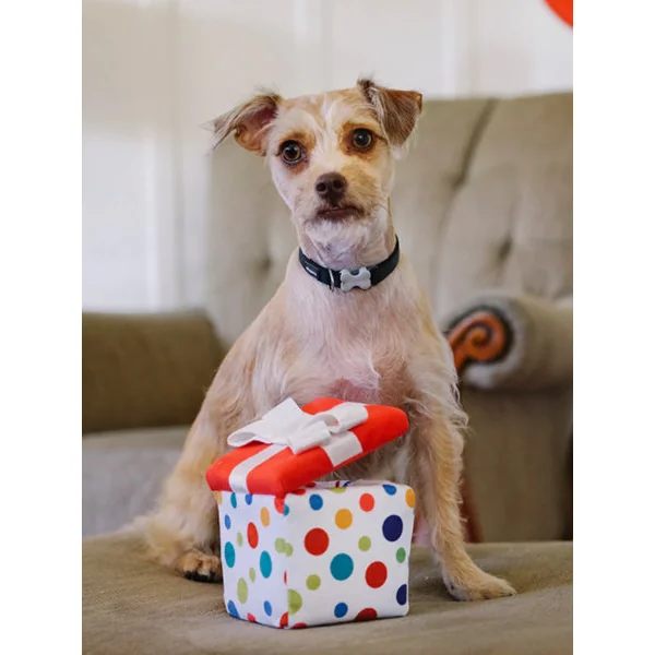 Jouet en peluche pour chien - Party Time - Cadeau 🎁 - Pet PLAY