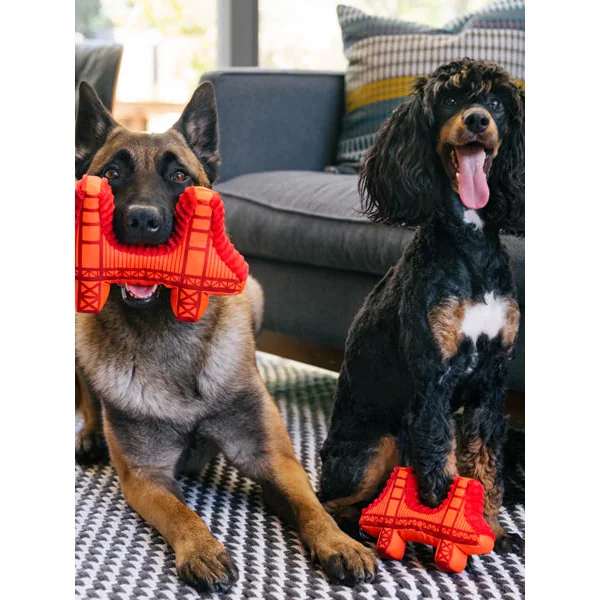 Jouet en peluche pour chien - Pont de San Francisco 🌉 - Pet PLAY