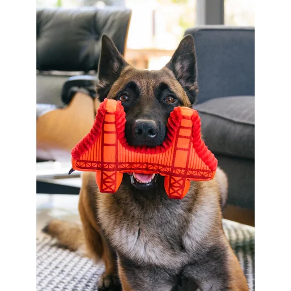 Jouet en peluche pour chien - Pont de San Francisco 🌉 - Pet PLAY