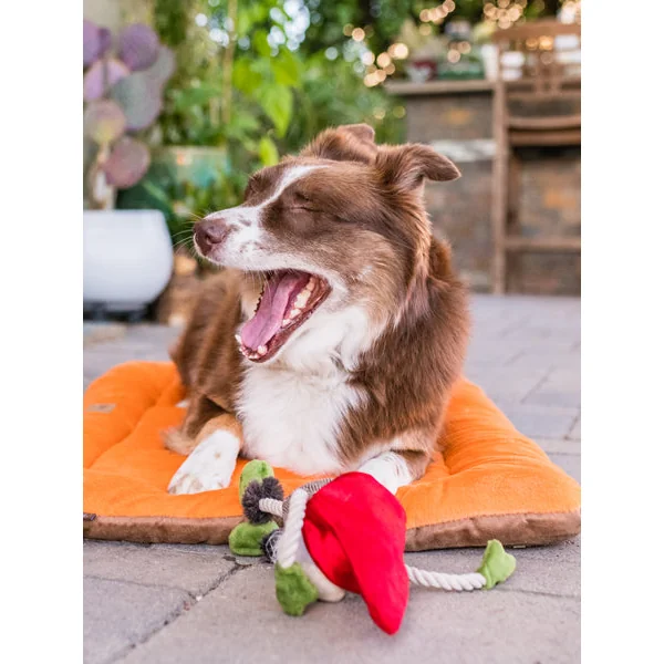 Jouet en peluche pour chien - Willow's Mythical - Gnome - Pet PLAY