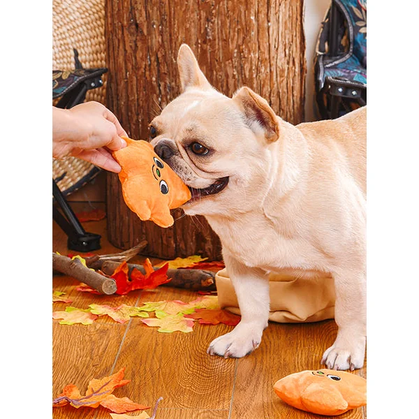 Jouet interactif pour chien - Feuille d'Automne 🍁🍂 - HugSmart