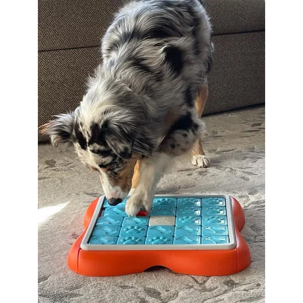 Jouet interactif / puzzle pour chien - Challenge Slider - Niveau 3