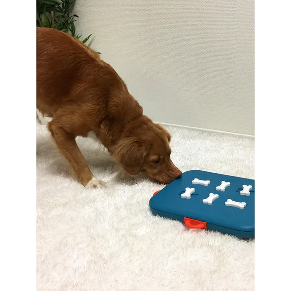 Jouet interactif / puzzle pour chien - Dog Casino - Niveau 3
