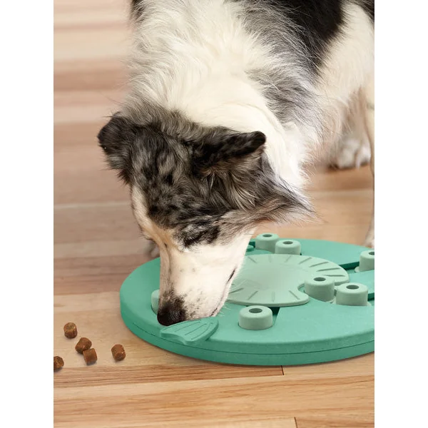 Jouet interactif / puzzle pour chien - Dog Worker - Niveau 3