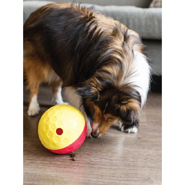 Jouet interactif / puzzle pour chien - Treat Tumble L - Niveau 1