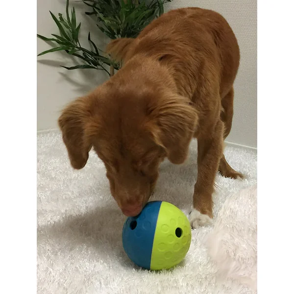 Jouet interactif / puzzle pour chien - Treat Tumble S - Niveau 1
