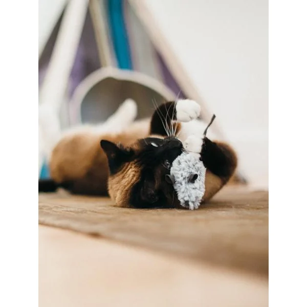 Jouet souris pour chat - Herbe à chat biologique - Pet PLAY