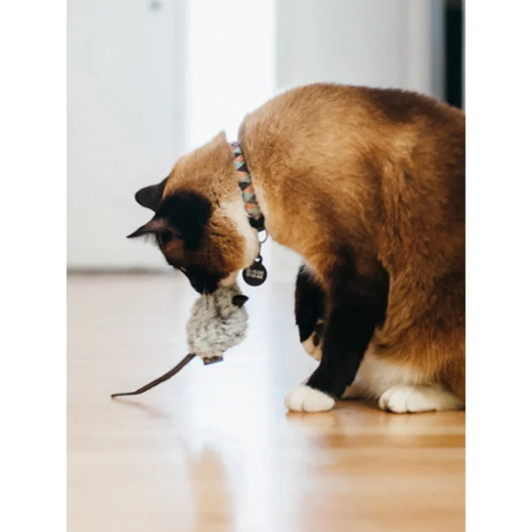 Jouet souris pour chat - Herbe à chat biologique - Pet PLAY