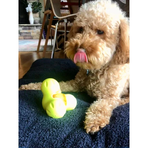 Jouet à garnir pour chien - Tux Zogoflex Vert - Eco-friendly