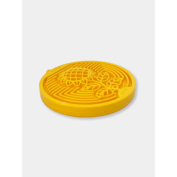 Jouet à mâcher ou à lécher pour chien - eCoin Earth - SodaPup