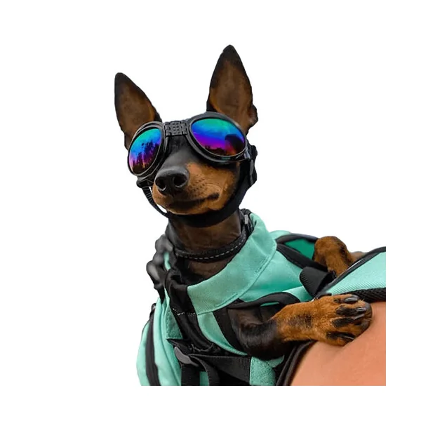 K9 Sport Shades Lunettes de soleil pour chien