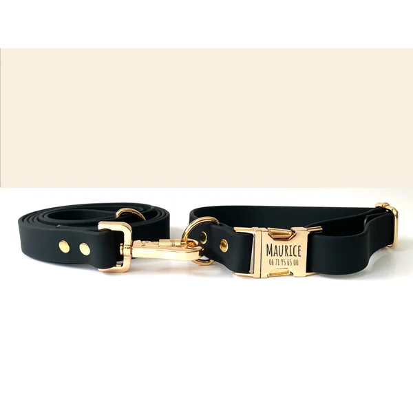 Kit Collier Harnais et Laisse Chien Personnalisé Biothane Noir