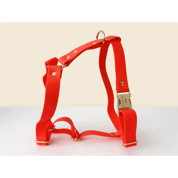 Kit Collier Harnais et Laisse Chien Personnalisé Biothane Orange