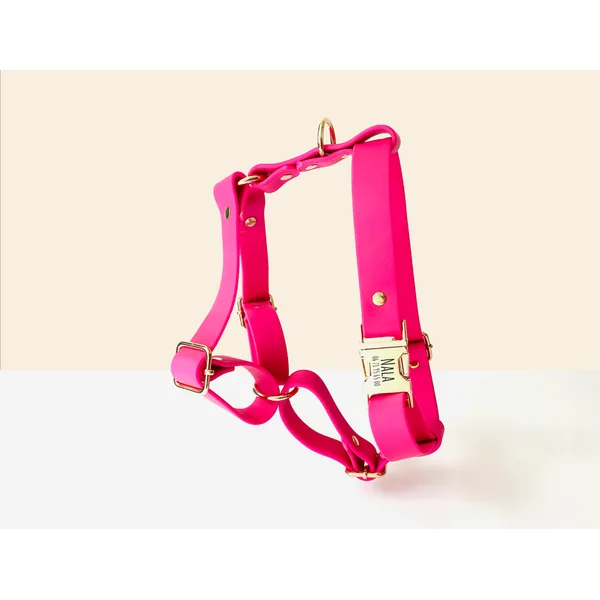 Kit Collier Harnais et Laisse Chien Personnalisé Biothane Rose
