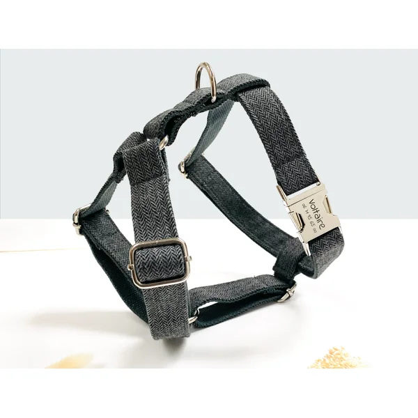 Kit Complet Chien Personnalisé Chevron Gris
