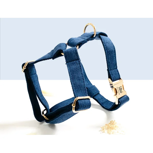 Kit Complet Chien Personnalisé Chevron Marine