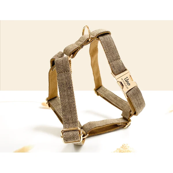 Kit Complet Chien Personnalisé Chevron Noisette